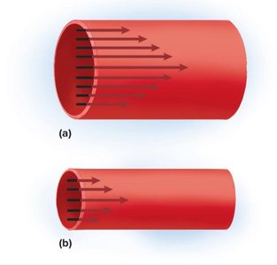 Vasoconstriction and vasodilation