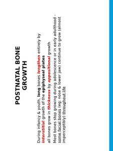 Postnatal bone growth: long bone