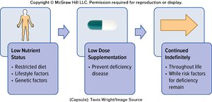 Flowchart of maintenance supplementation process