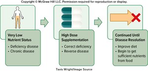Flowchart of therapeutic supplementation process