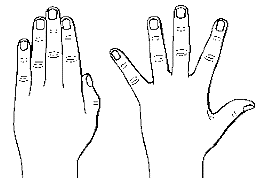 Abduction and adduction of fingers
