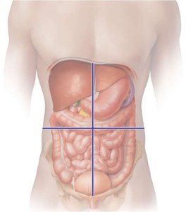 Abdominopelvic quadrants diagram