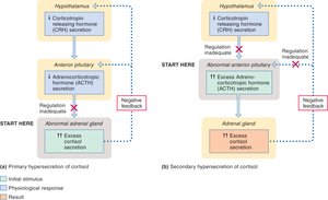 Primary hypersecretion of cortisol pathway