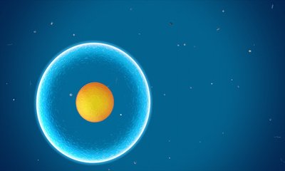 Diagram of a cell, representing a typical animal cell before division