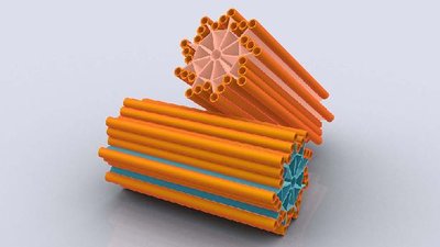 3D illustration of centrioles, which organize microtubules during cell division
