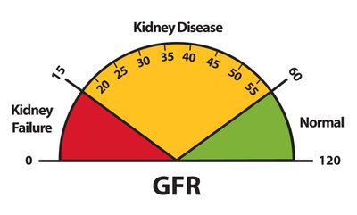 GFR scale indicating normal and disease ranges