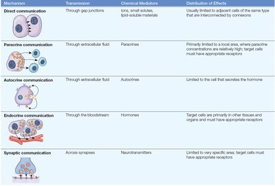 Table comparing mechanisms of intercellular communication