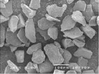 Calcium phosphate crystals (hydroxylapatite)