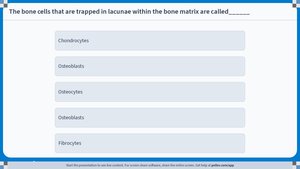 Quiz: Bone cells trapped in lacunae are called osteocytes
