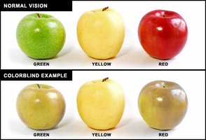 Normal vision vs colorblindness