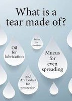 Components of tears