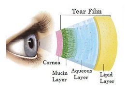 Tear film layers: mucin, aqueous, lipid