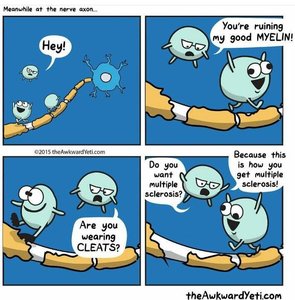 Cartoon illustrating myelin damage in multiple sclerosis