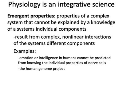 Emergent properties in physiology