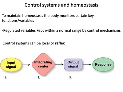 Control system components