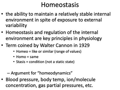 Definition and principles of homeostasis