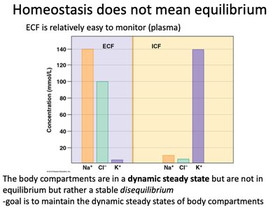 ECF vs ICF concentrations: stable disequilibrium