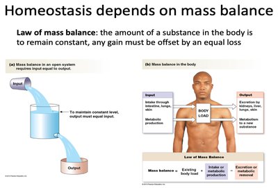 Law of mass balance: input and output