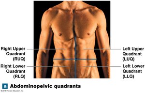 Abdominopelvic quadrants