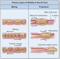 Table comparing mixing and propulsion in the GI tract