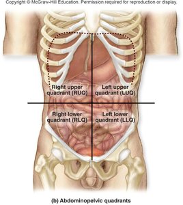 Abdominopelvic quadrants