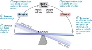 Components of a Control System