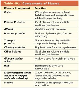 Table of plasma components and their functions