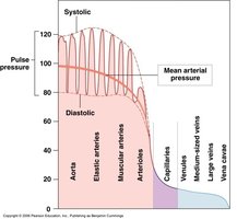 Calculation of mean arterial pressure