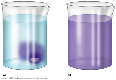 Simple diffusion and facilitated diffusion in beakers