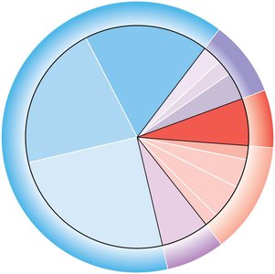 Pie chart of blood distribution