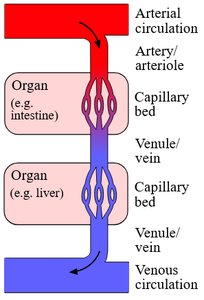 Portal system diagram