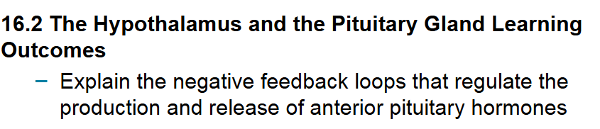 Learning outcome: Explain the negative feedback loops that regulate the production and release of anterior pituitary hormones