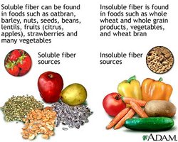 Soluble and insoluble fiber sources