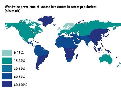 Global prevalence of lactose intolerance