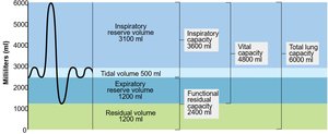 Spirometry and lung volumes