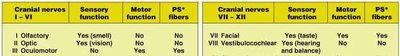 Cranial nerves table part 1