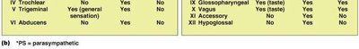 Cranial nerves table part 2
