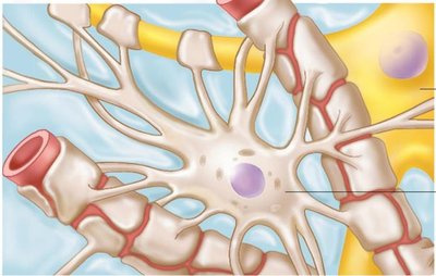 Microglial cells in nervous tissue