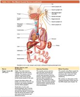 Table of mixed cranial nerves (continued)