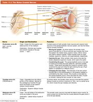 Table of motor cranial nerves