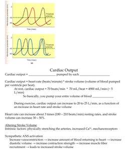 Cardiac output and factors affecting stroke volume