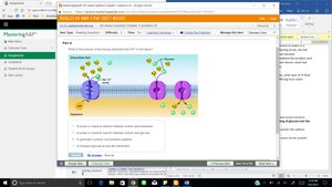 Diagram of primary and secondary active transport across a cell membrane