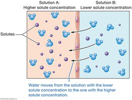 Osmosis and osmotic pressure