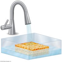 Osmotic pressure as a sponge analogy