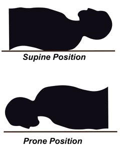 Prone and supine positions