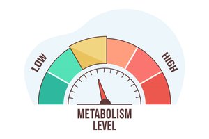 Metabolism level gauge