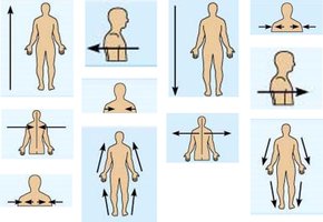 Posterior regional terms on human body