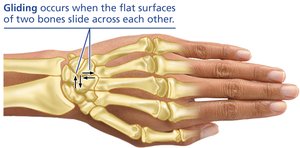 Gliding movement in the hand