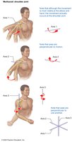 Multiaxial movement at the shoulder joint