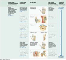 Synovial joints classification